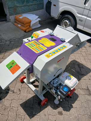 High speed feed chopper grinder / Chaff cutter image 4
