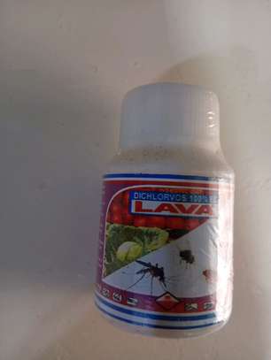 Original lava insecticide image 3