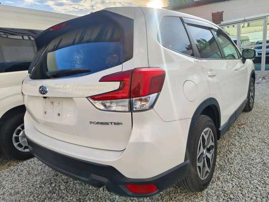 Subaru Forester sk9 2018 white image 11