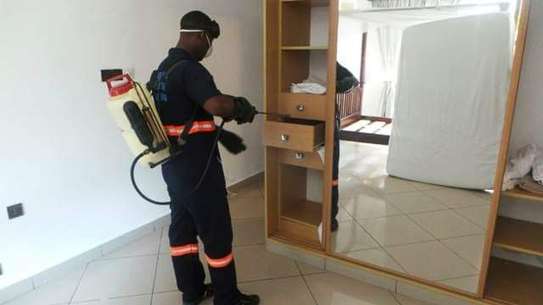 Pest Control and Fumigation Services Parklands image 6