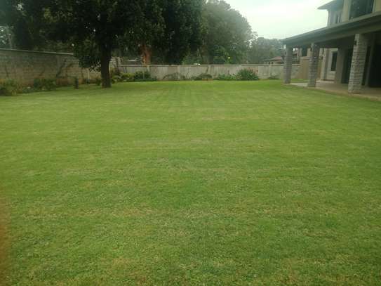 5 Bed Townhouse with En Suite in Muthaiga image 16