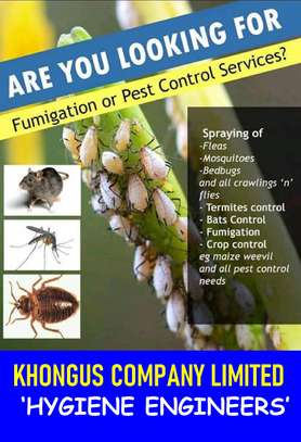 Fumigation and Pest control Services image 5