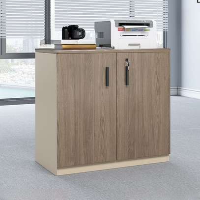 Office Cabinet : 2-Door Half Office Storage Cabinet image 1