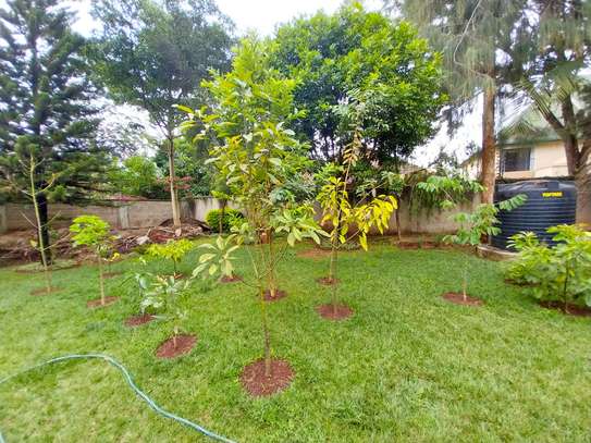 5 Bed House with Staff Quarters at Runda Mimosa image 2