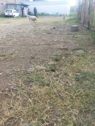 40by100 plot for lease in kahawa west image 3