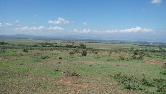 5,000 ft² Land in Naivasha image 1