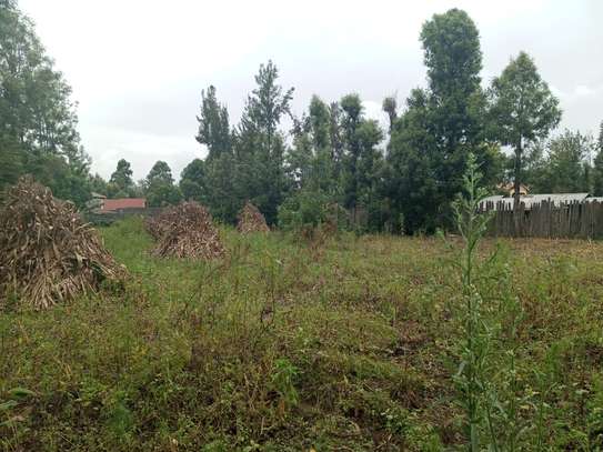 land for sale in Ngata image 1