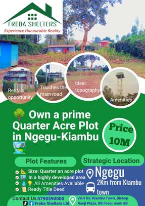 0.3 ac Land at Ngegu Kiambu image 17