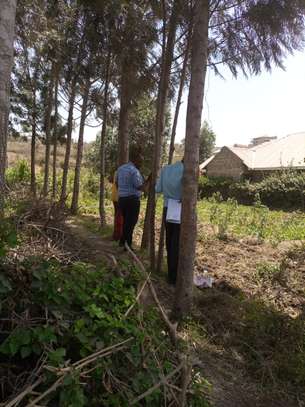 EIGHTH OF AN ACRE PLOT IN MLOLONGO image 5