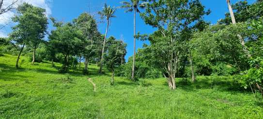 2.5 ac Land at Mtwapa Creekside image 4