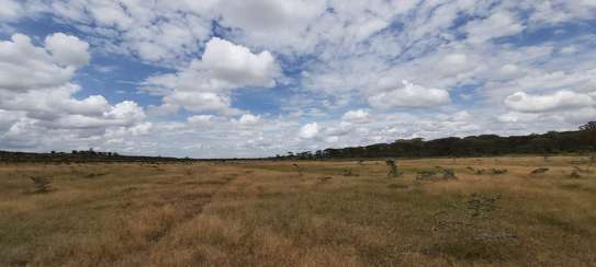 AN EXPANSIVE 4200 ACRES RANCH FOR SALE IN LAIKIPIA COUNTY image 2