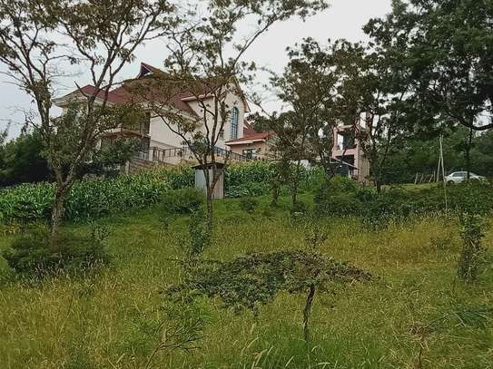 0.25 ac Land at Kibiko image 1
