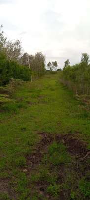 1 acre, beautiful land olooloitikosh image 7