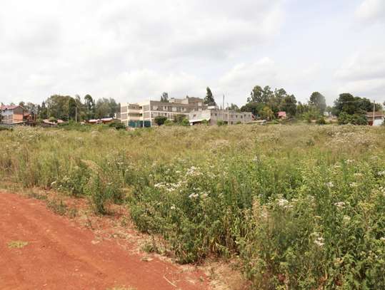 1/8 Acre Commercial Land For Sale in Muchatha image 4