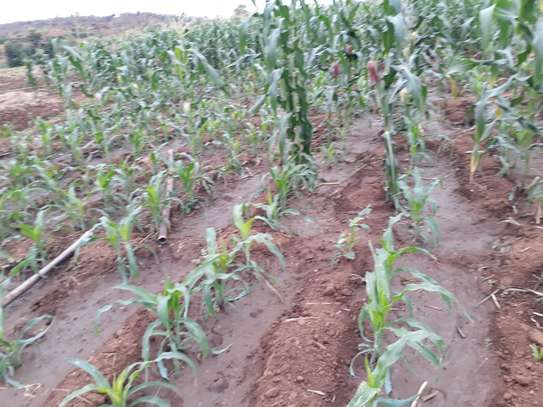 100 Acres For Lease in Mbeere South Kirinyaga image 3