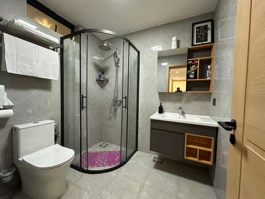 Furnished 2 Bedroom Apartment for Rent in Lavington image 13