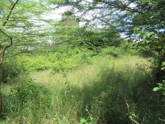 Land at Rongai image 8