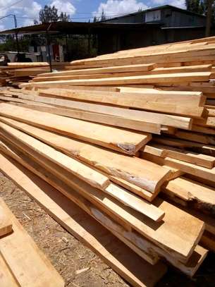 Urban timber supplies image 1