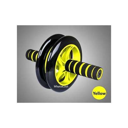 AB Wheel ABS Roller image 2