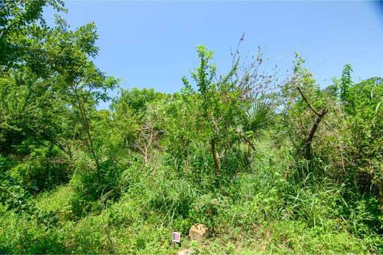 Residential Land in Vipingo image 4
