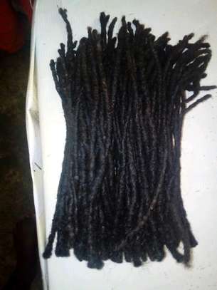 DREADLOCKS (HEALTHY) image 1