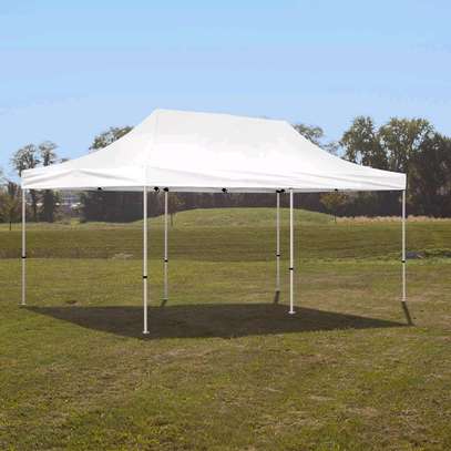 Foldable Canopy Tent image 3