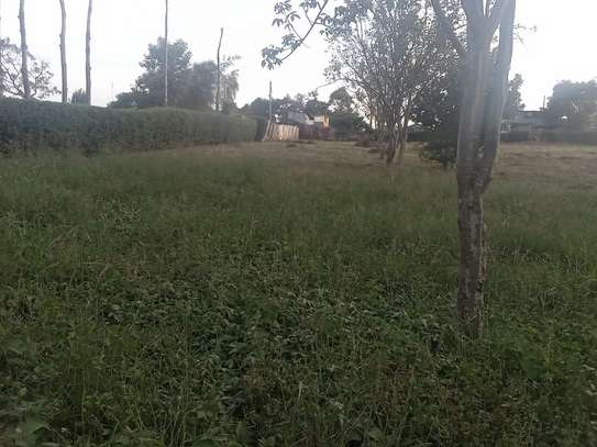 1/4 Acre Plot for Sale, Ndwaru Road image 2