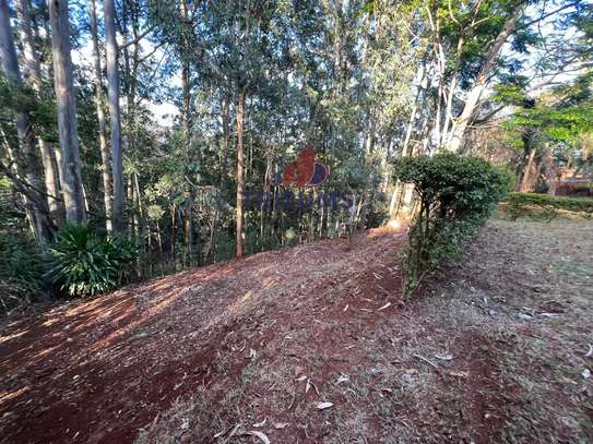 1.5 ac Land in Spring Valley image 12
