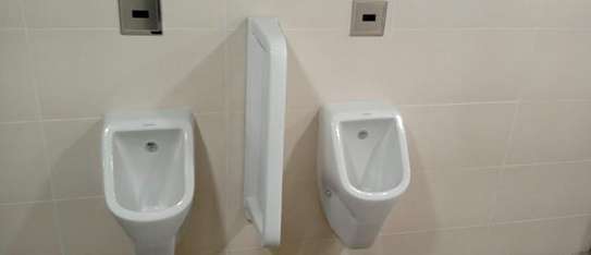 Urinal divider image 1