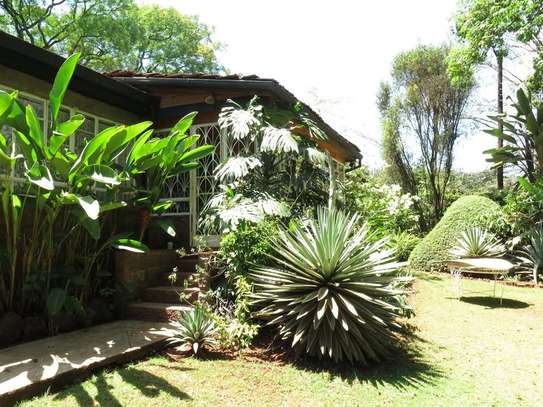 FOR SALE – PRESTIGIOUS PROPERTY LAVINGTON, NBI (0.8 ACRES) image 3