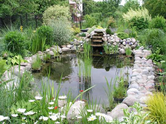 Pond maintenance/ Pond Installation/Pond leak repair Pros. image 6