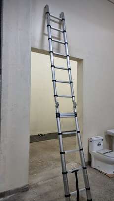 SINGLE&DOUBLE TELESCOPIC LADDERS FOR SALE image 1