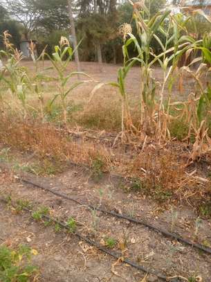 0.125 ac residential land for sale in Ongata Rongai image 5