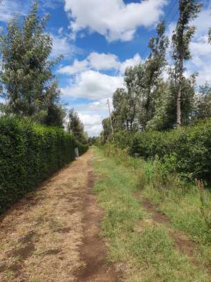 21 acres  Located at Cianda Near Ngorongo Tea Factory image 1