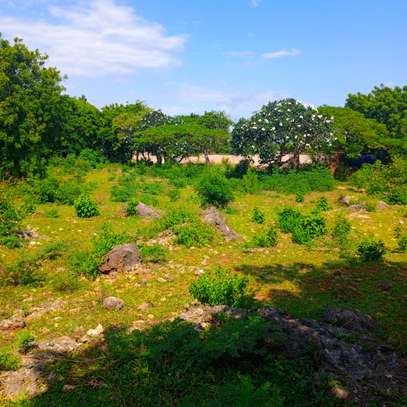 Land-KILIFI BOFA ROAD image 5