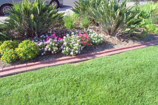 Landscaping Services in Kenya.Low Cost Garden Maintenance image 4