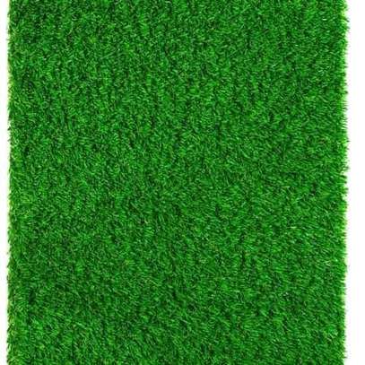Affordable Grass Carpets -4 image 2