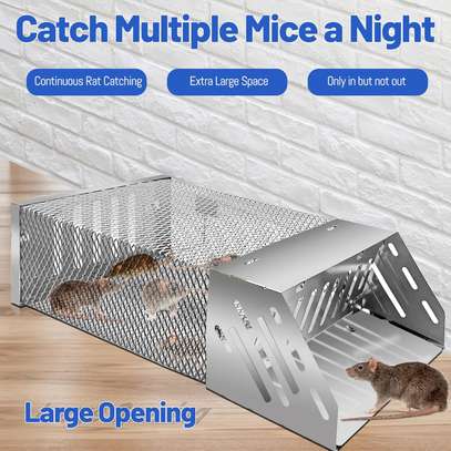 Rat Traps Cage, Rodent ,for Indoor and Outdoor - RE-USEABLE image 2