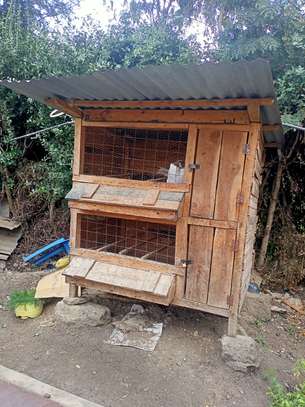 Chicken Shed image 1
