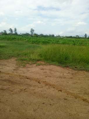 2400 ft² land for sale in Ruiru image 1