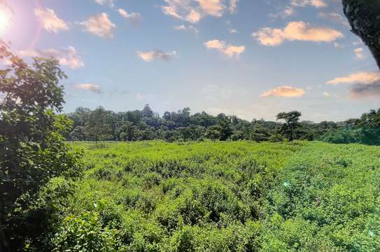 11 ac Land at Nyeri image 1