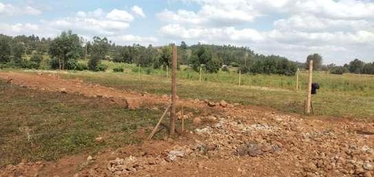 50by100 plots in Kamangu image 2
