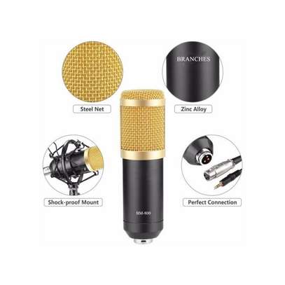 Studio Condenser Microphone Mic Professional Broadcast image 3