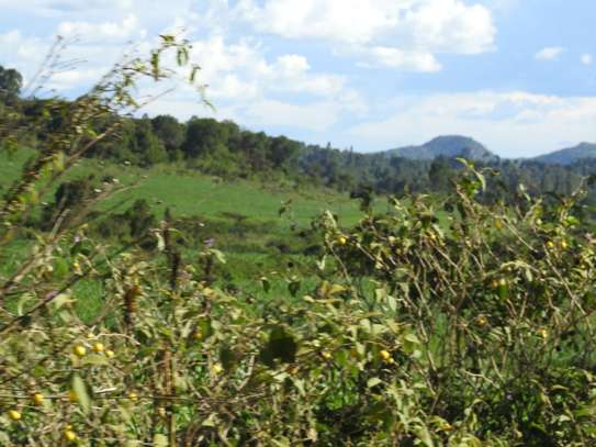 Karichen 1 acre , Munyu- Narumoru road image 3