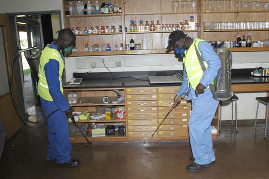 Best Pest Control (Bedbugs, Insects, Rodents, Termites) Professionals Nairobi image 1