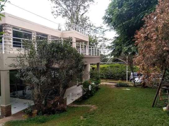 4 Bed House with Garden at Mukoma Road image 20