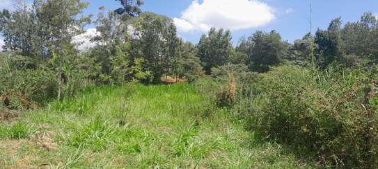 Residential Land at Karuri image 6