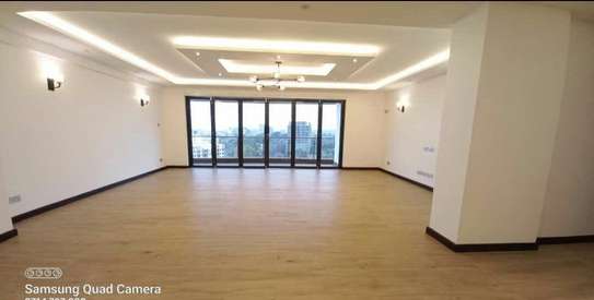 4 Bed Apartment with En Suite in Spring Valley image 12