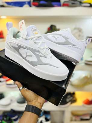 Puma r system 2025