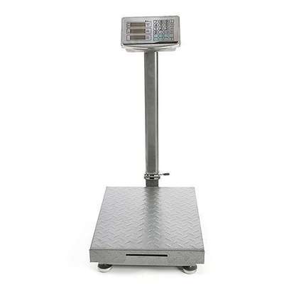 300kg- Digital Pricing Electronic Flatbed Platform Weighing image 1